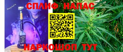 спайс Гагарин
