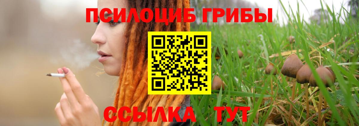 Псилоцибиновые грибы мухоморы  Псилоцибиновые грибы Psilocybine cubensis  наркотики  Тимашёвск  Вход с VPN 